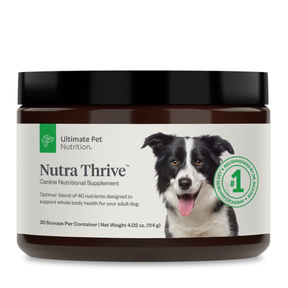 40-in-1 Nutritional Powder Supplement for Dogs P691798