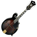 Dark Violin Sunburst Gloss Electric Guitar V49698
