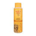 Oatmeal Dog Shampoo with Honey, Unscented, 16 Fl Oz L392