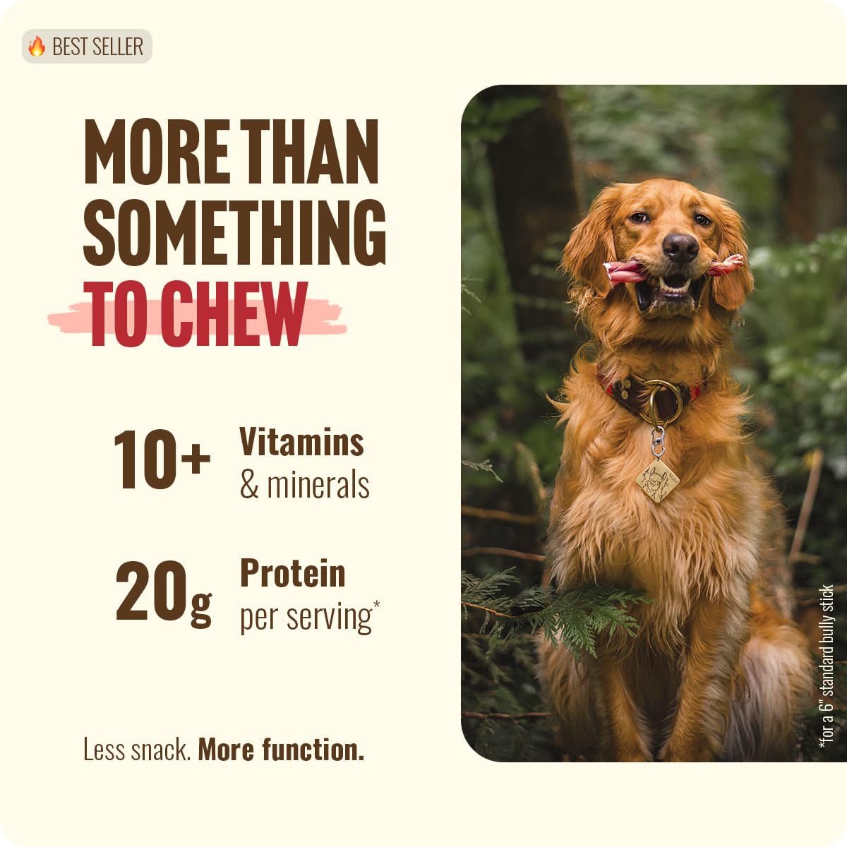 6 Inch 12 Ounces Odor-Free Beef Pizzle Chews J4829