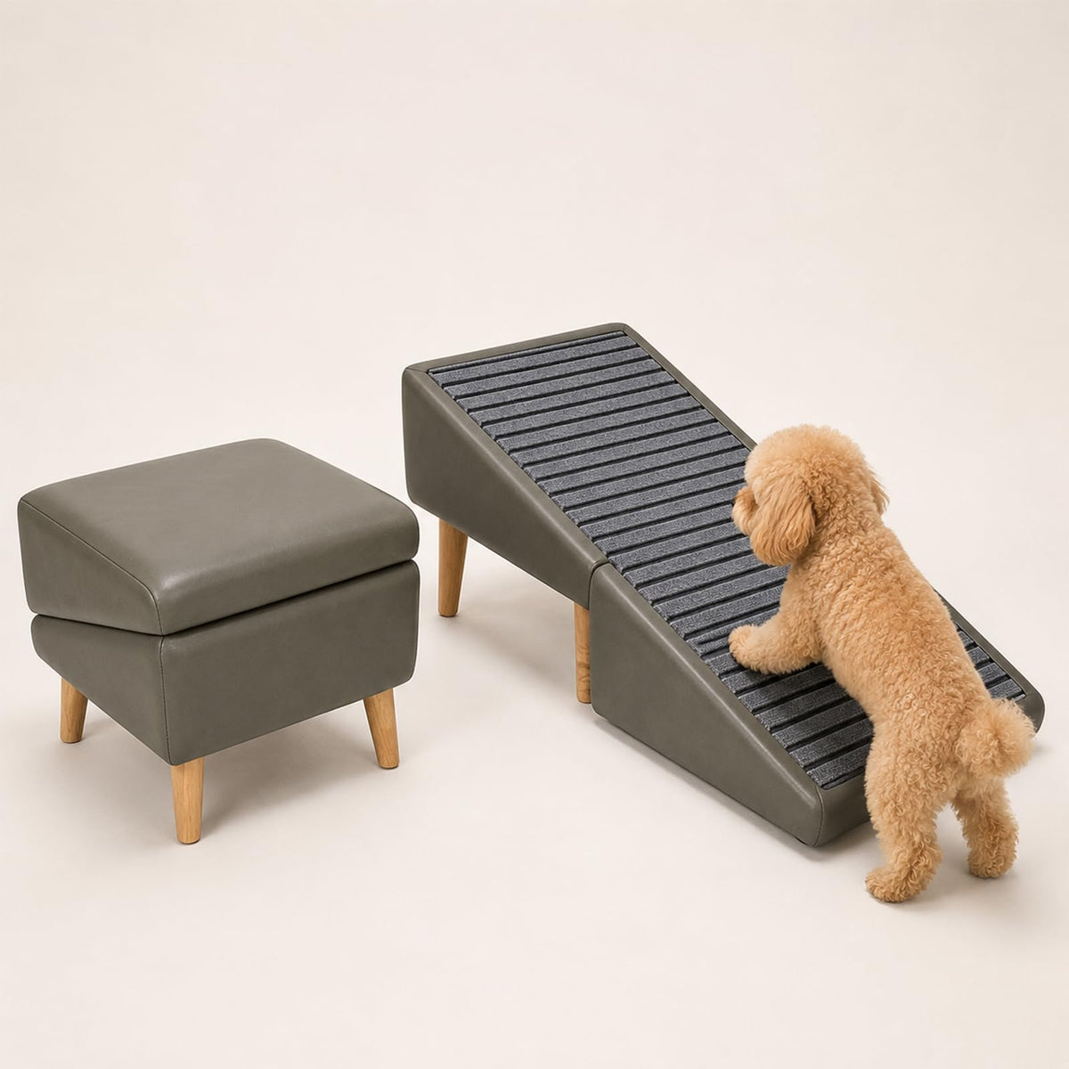 Folding Dog Ramp E37500