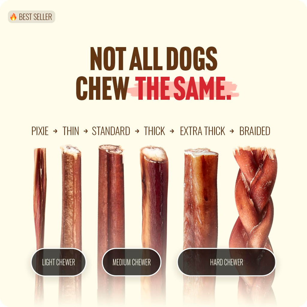 6 Inch 12 Ounces Odor-Free Beef Pizzle Chews J4829