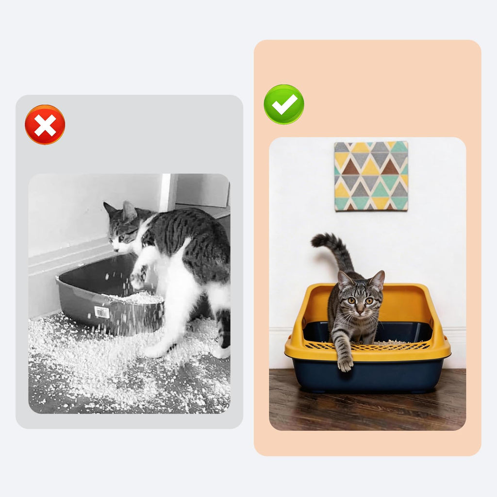 Blue Open Top Cat Litter Box with Scoop and Play Mat M398