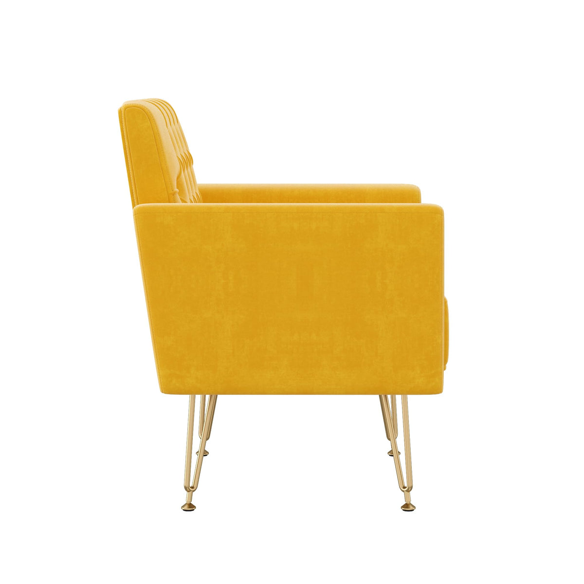 Velvet Single Sofa Chair with Tufted Back and Metal Legs M563094