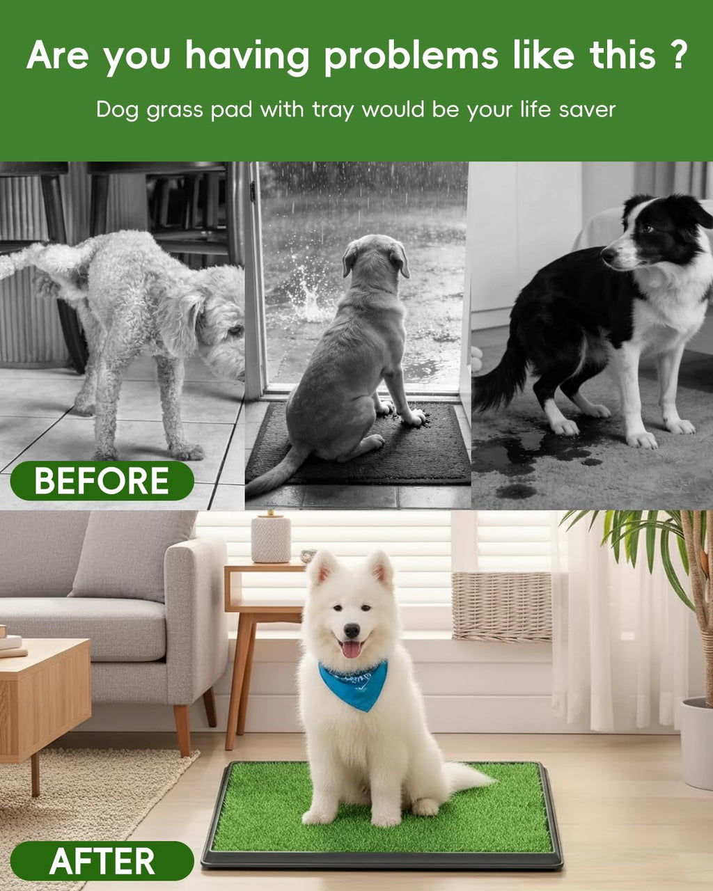25" x 20" Artificial Grass Dog Potty Training Pad with Tray R60025