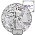 1 oz American Silver Eagle Coin Y5747