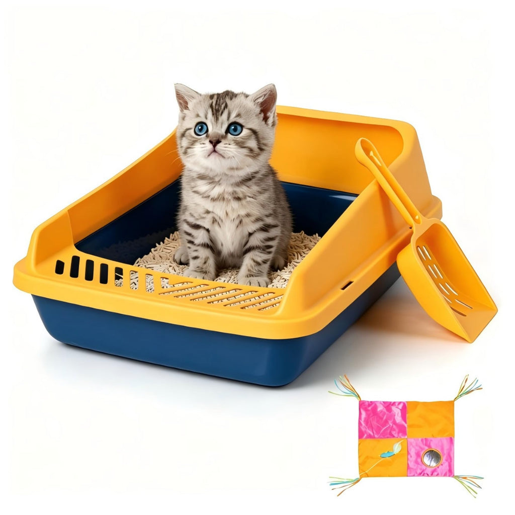 Blue Open Top Cat Litter Box with Scoop and Play Mat M398