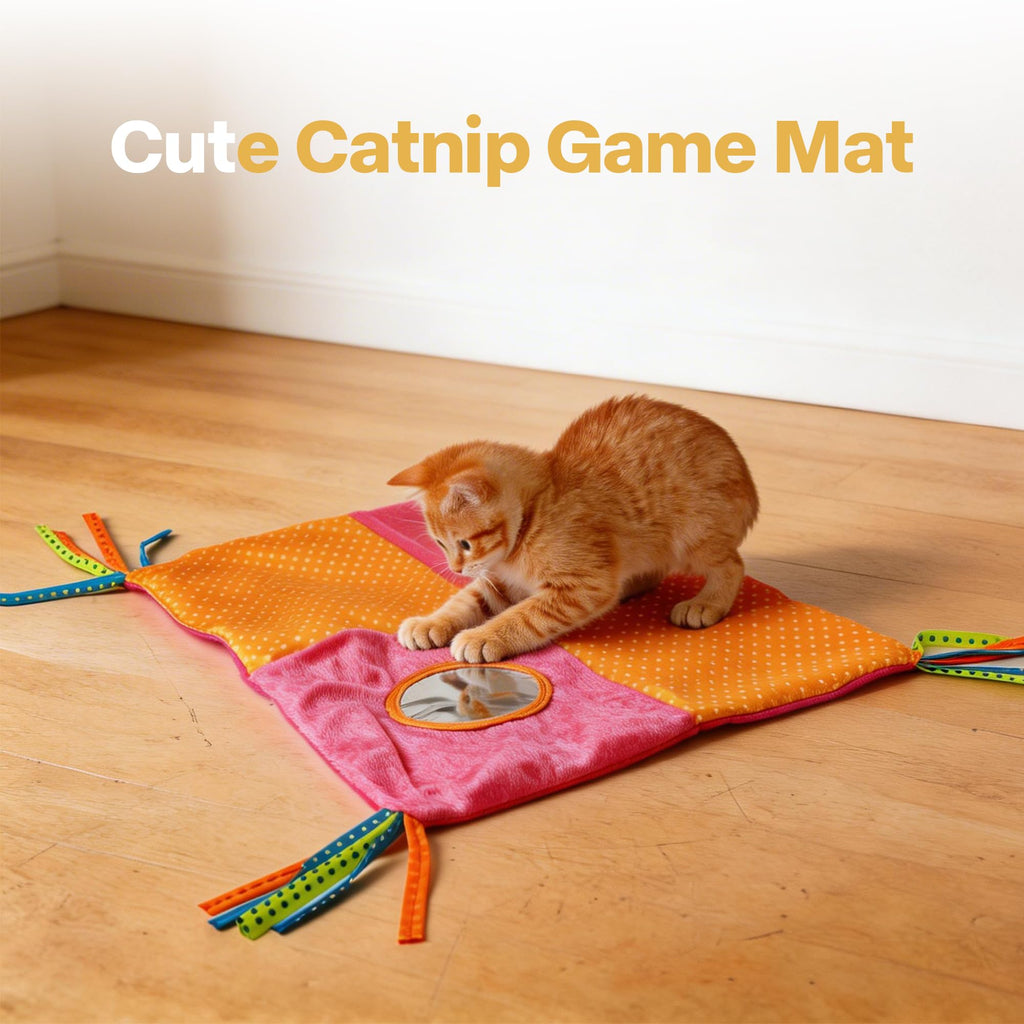 Blue Open Top Cat Litter Box with Scoop and Play Mat M398