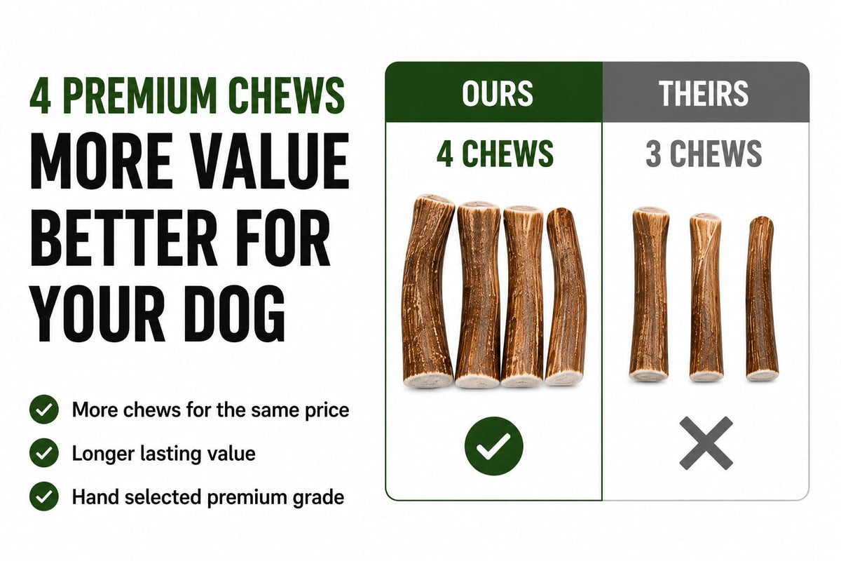 Deer Antler Dog Chews One Pound B863