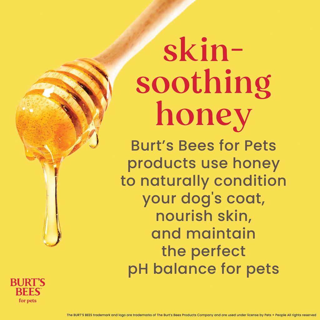 Oatmeal Dog Shampoo with Honey, Unscented, 16 Fl Oz L392