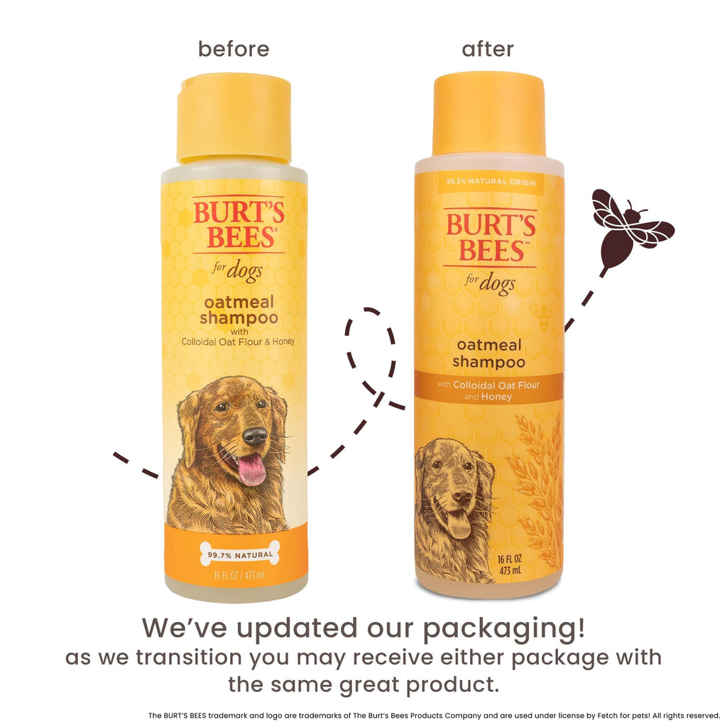 Oatmeal Dog Shampoo with Honey, Unscented, 16 Fl Oz L392