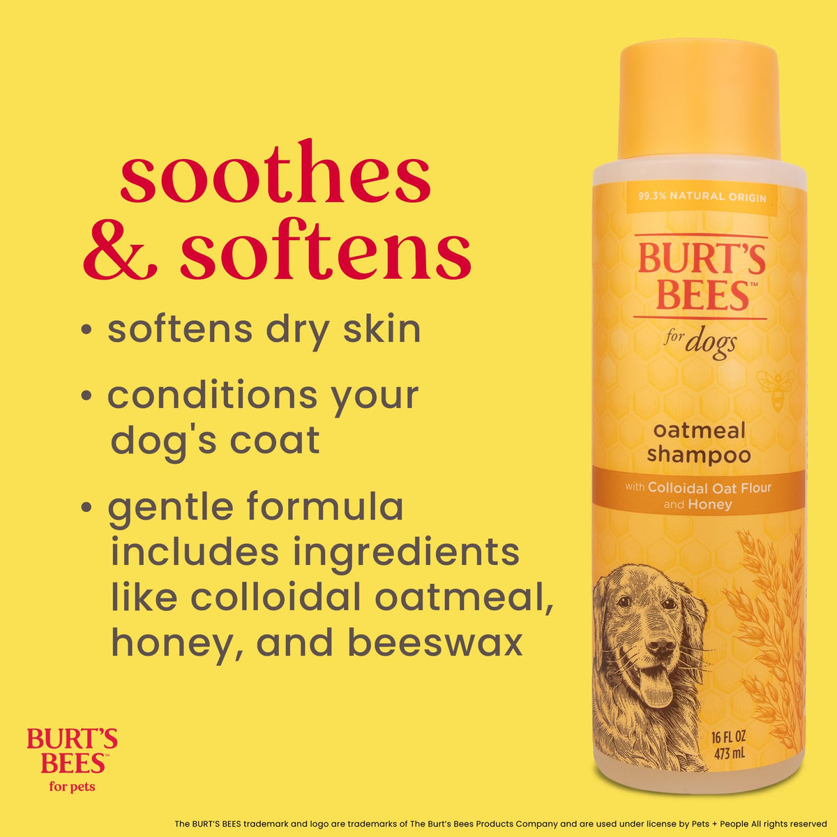 Oatmeal Dog Shampoo with Honey, Unscented, 16 Fl Oz L392