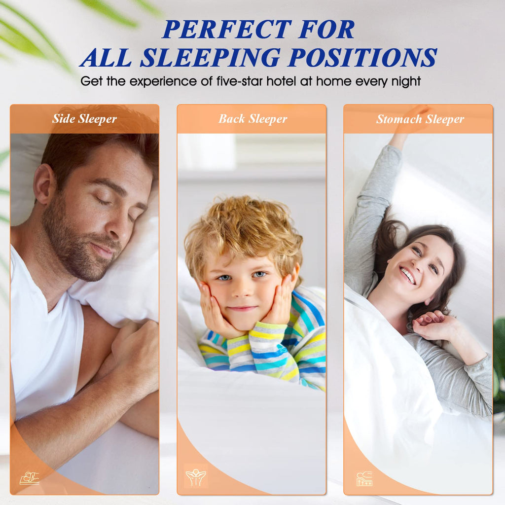 King Size Bed Pillows Set of 2 V204
