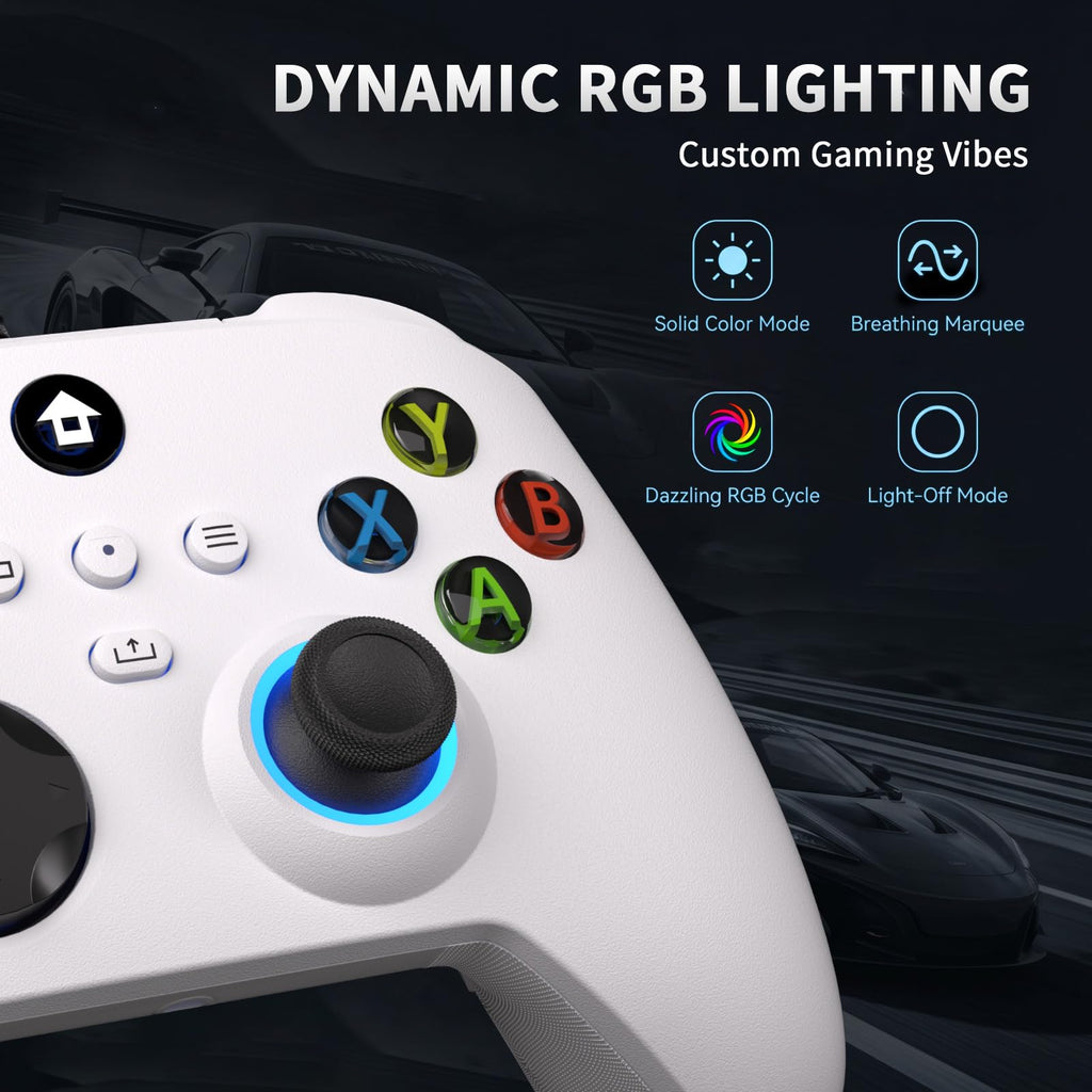 Wired Controller B31100