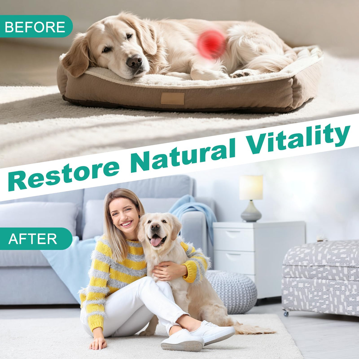 3-Way Dewormer for Dogs & Cats with Praziquantel & Pyrantel Pamoate M10944