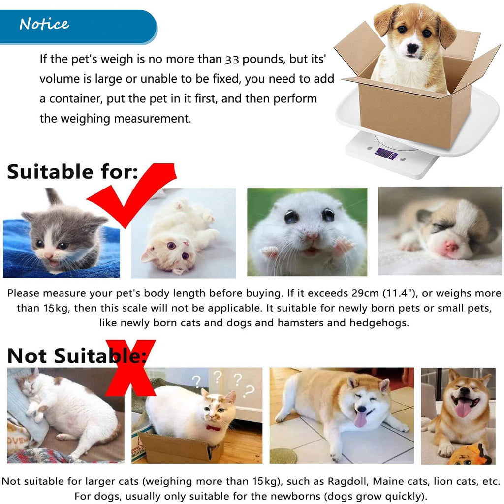 Newborn Kitten & Puppy Weight Scale White 12in x 8in C9863