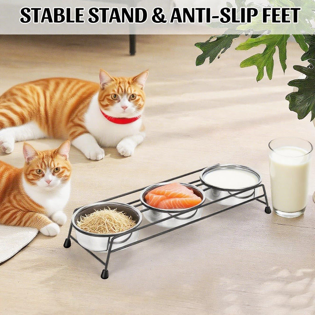 Raised Cat Bowls 3 Stainless Steel Y7144