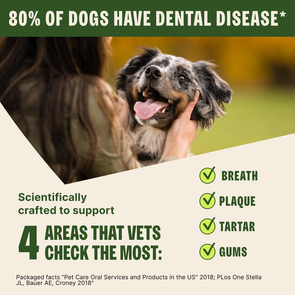 Natural Dog Dental Treat Chews Medium Size 46.6 oz 44 Count B858