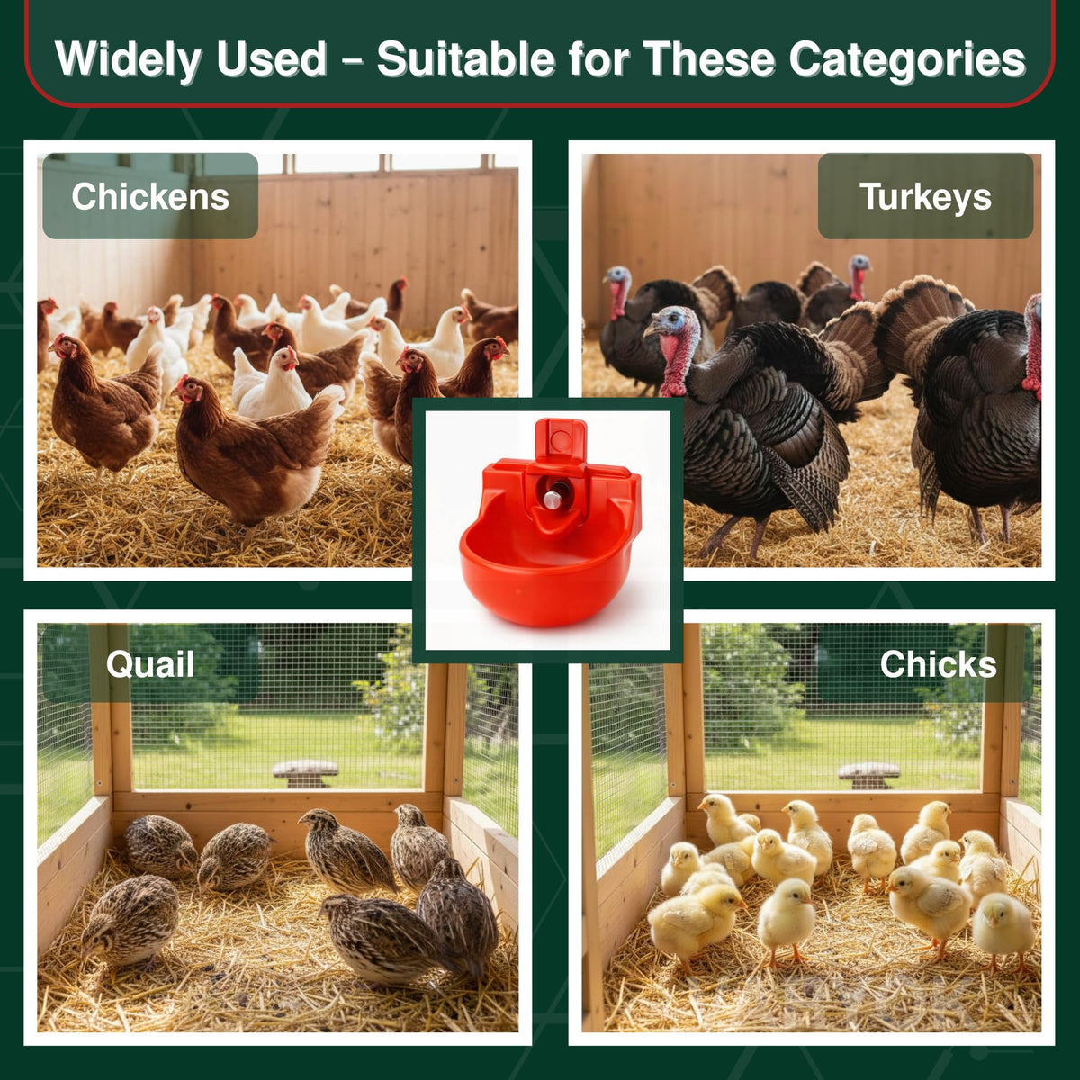 12-Pack Chicken Water Nipples with Cups A63054