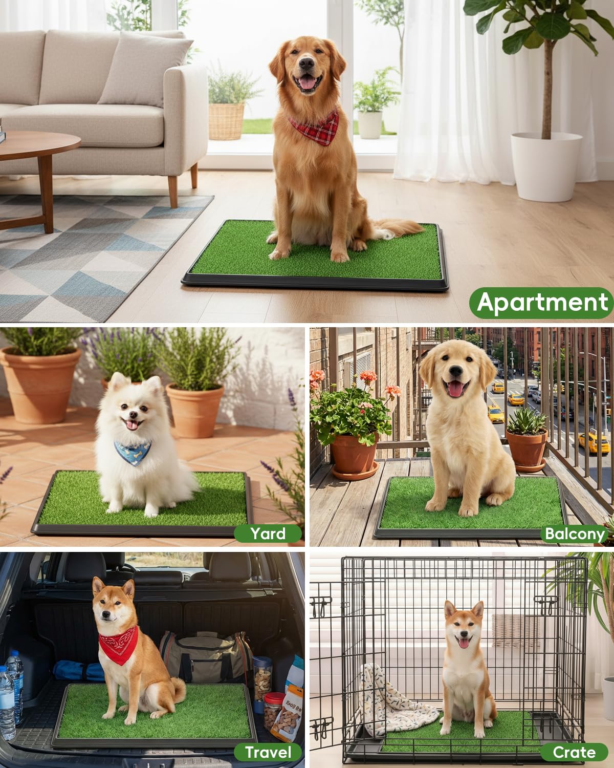 25" x 20" Artificial Grass Dog Potty Training Pad with Tray R60025