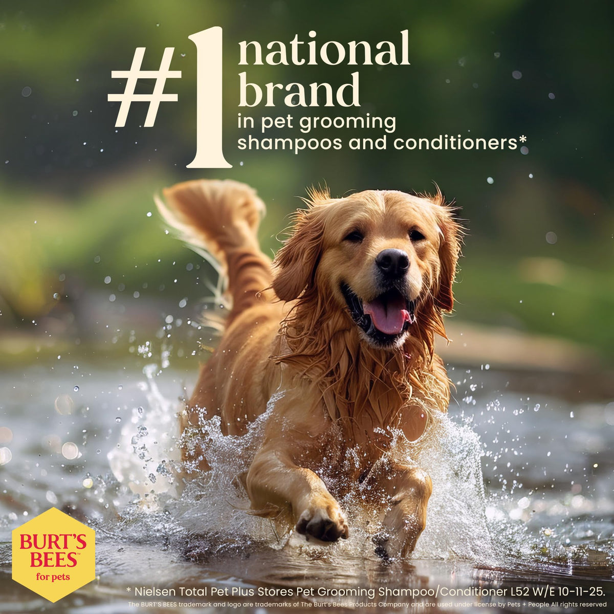 Oatmeal Dog Shampoo with Honey, Unscented, 16 Fl Oz L392