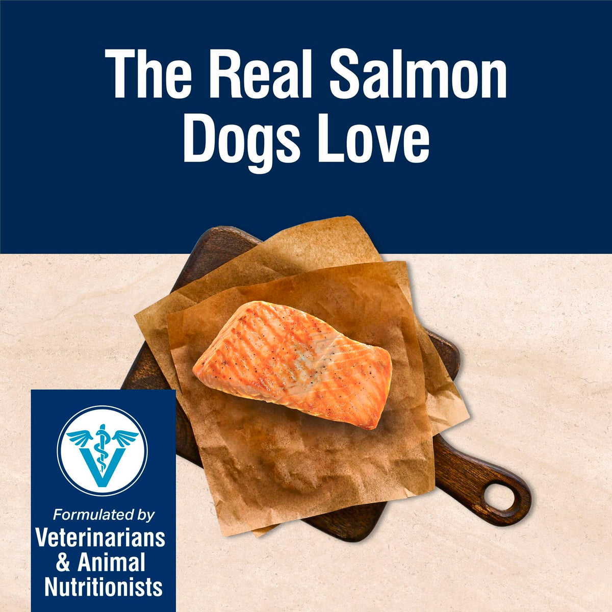 Salmon Dry Dog Food 4 lb Y325324