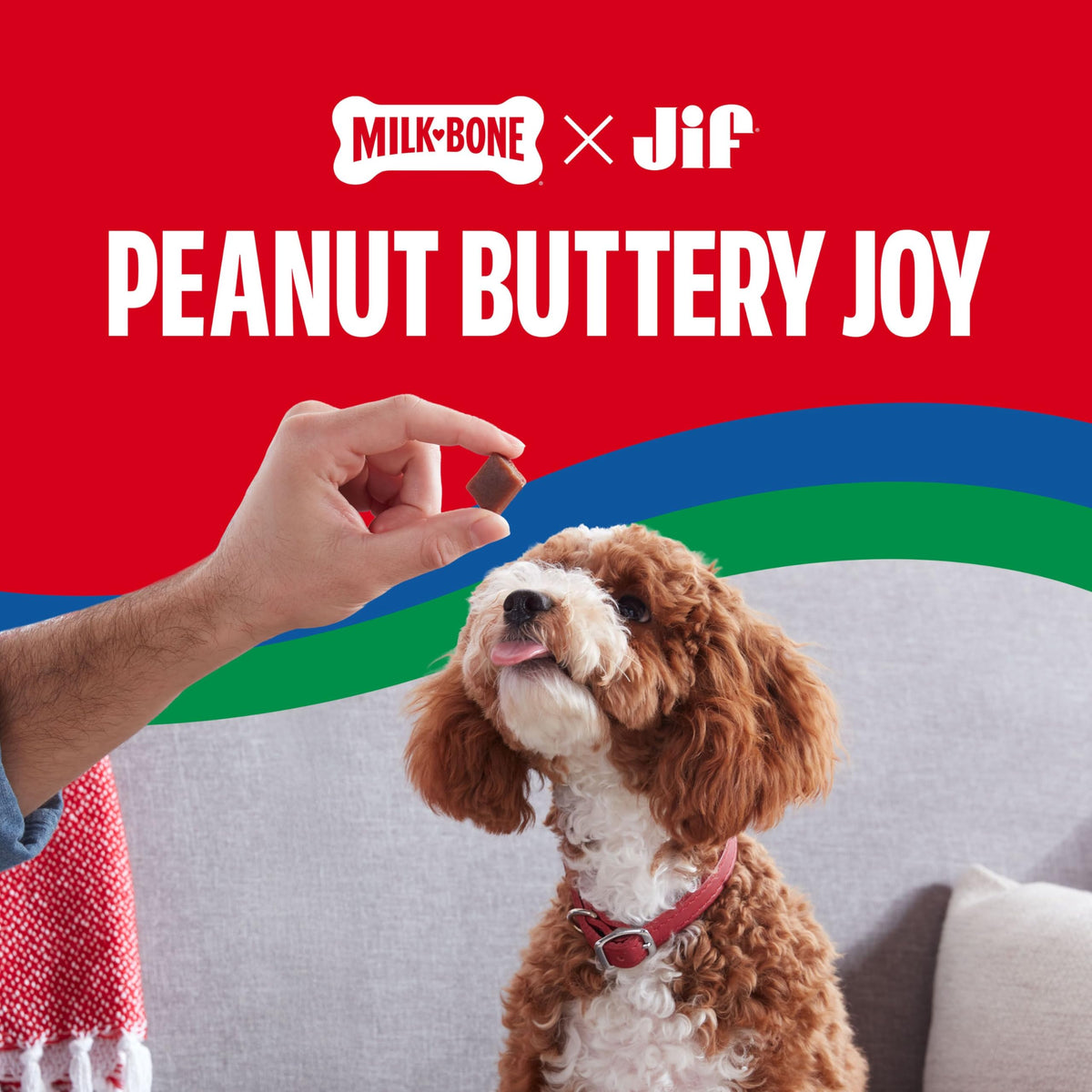 Soft & Chewy Peanut Buttery Dog Treats 11.8 Oz T777