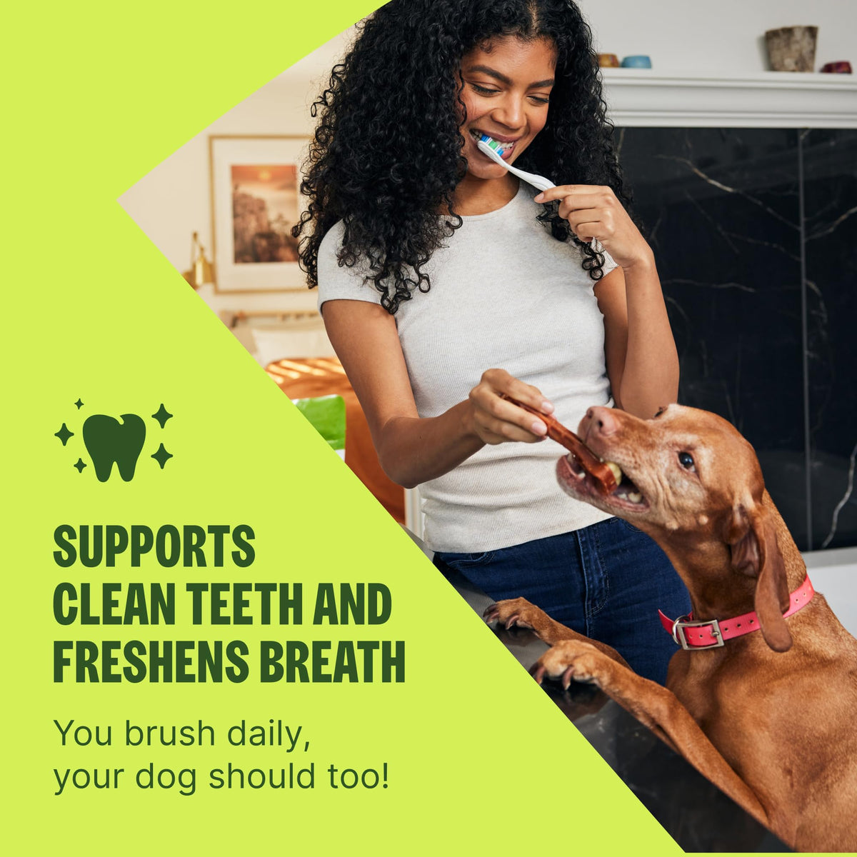 Natural Dog Dental Treat Chews Medium Size 46.6 oz 44 Count B858