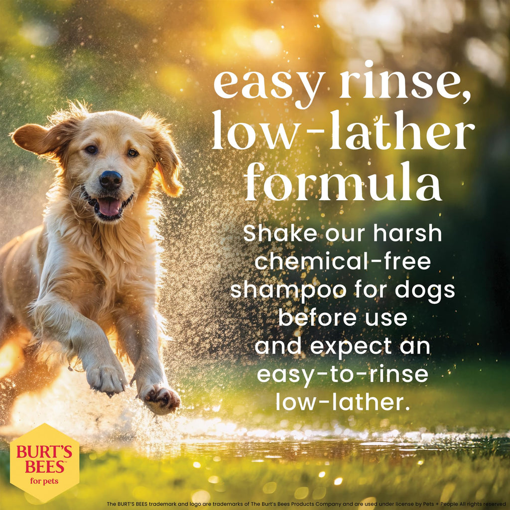 Oatmeal Dog Shampoo with Honey, Unscented, 16 Fl Oz L392
