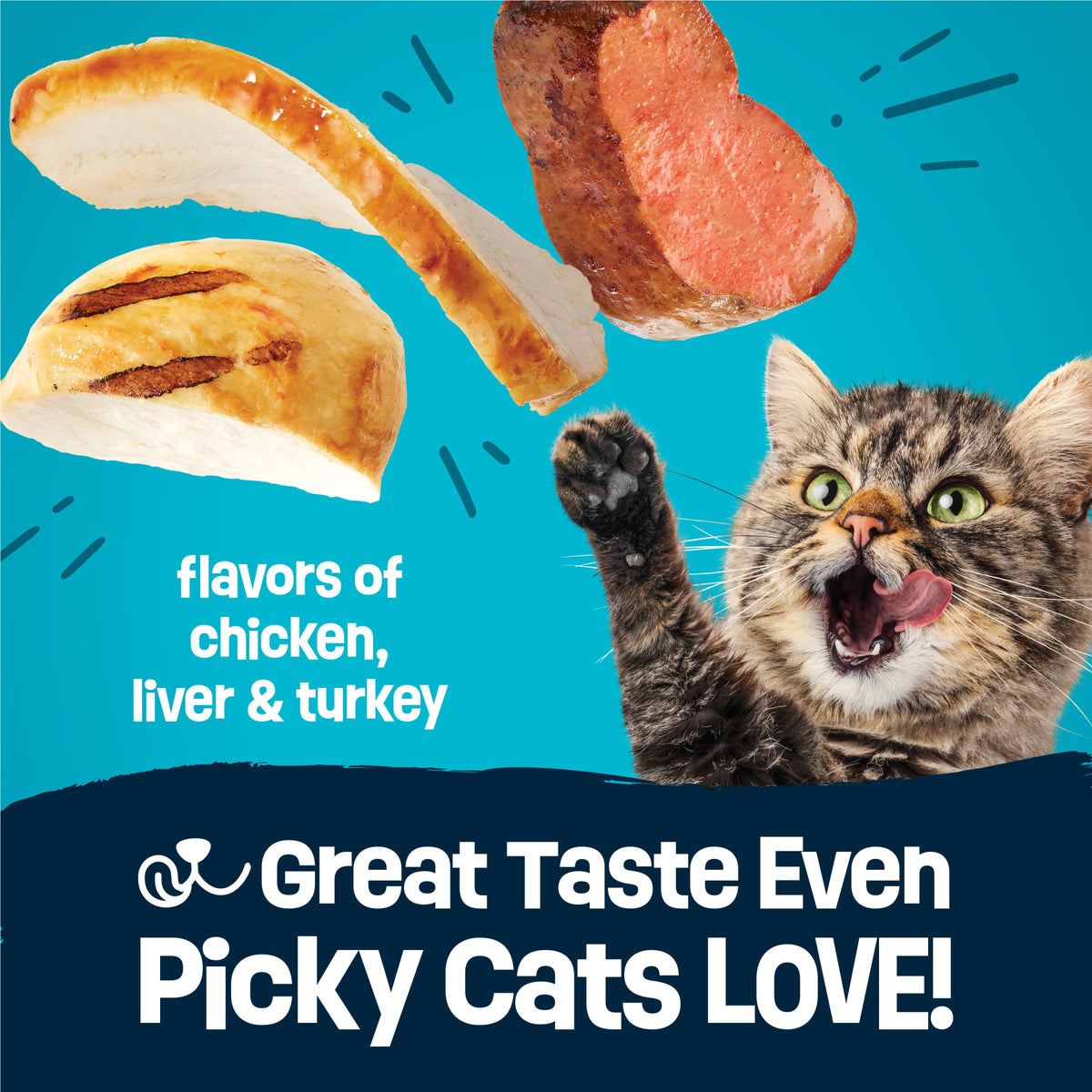 Crunchy Dry Cat Food 3 lb Bag X1586