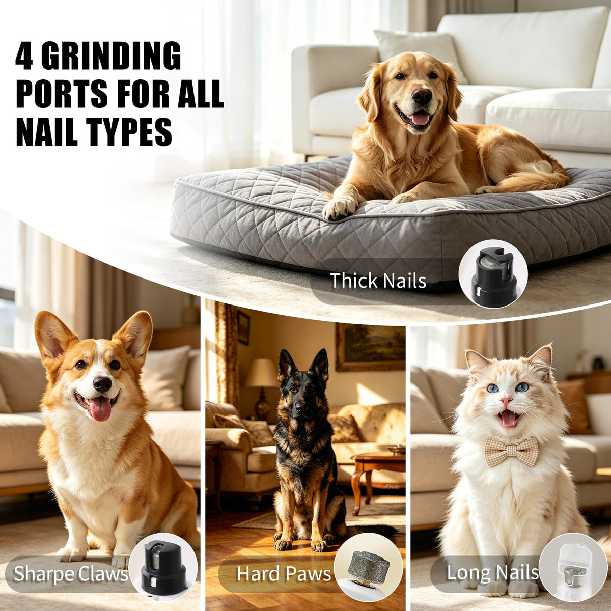 Dog Nail Grinder with LCD Screen, 6 Speeds, 4 Grinding Heads E462374