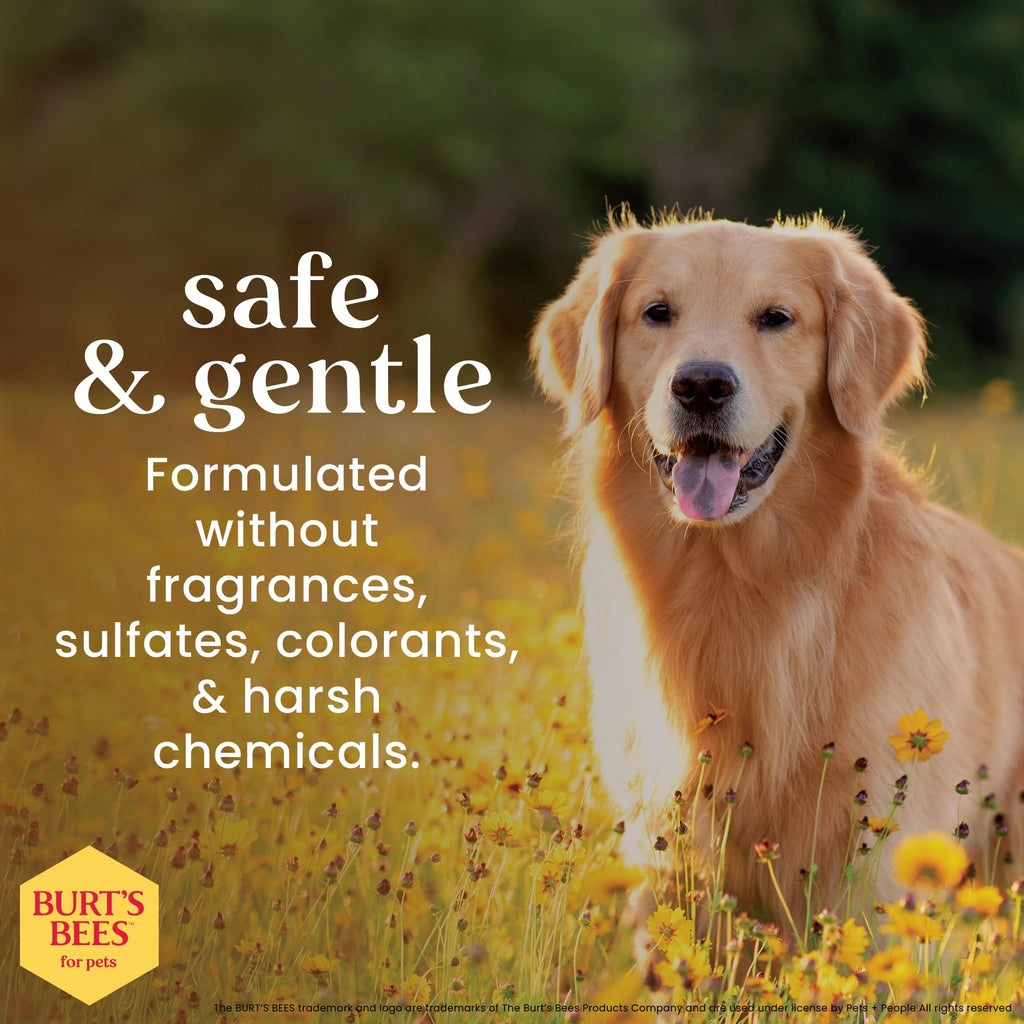 Oatmeal Dog Shampoo with Honey, Unscented, 16 Fl Oz L392