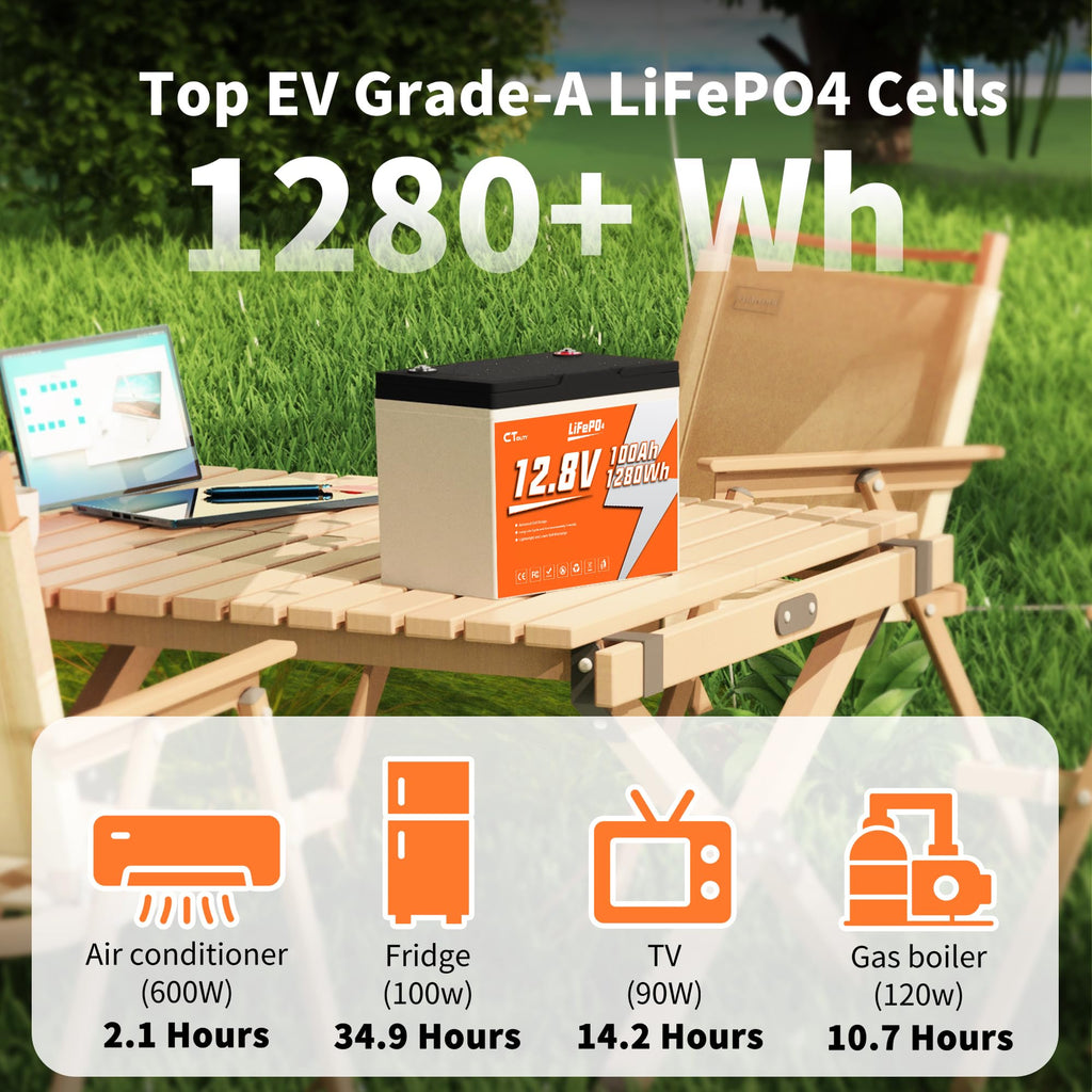 12V 100Ah LiFePO4 Lithium Battery W96664