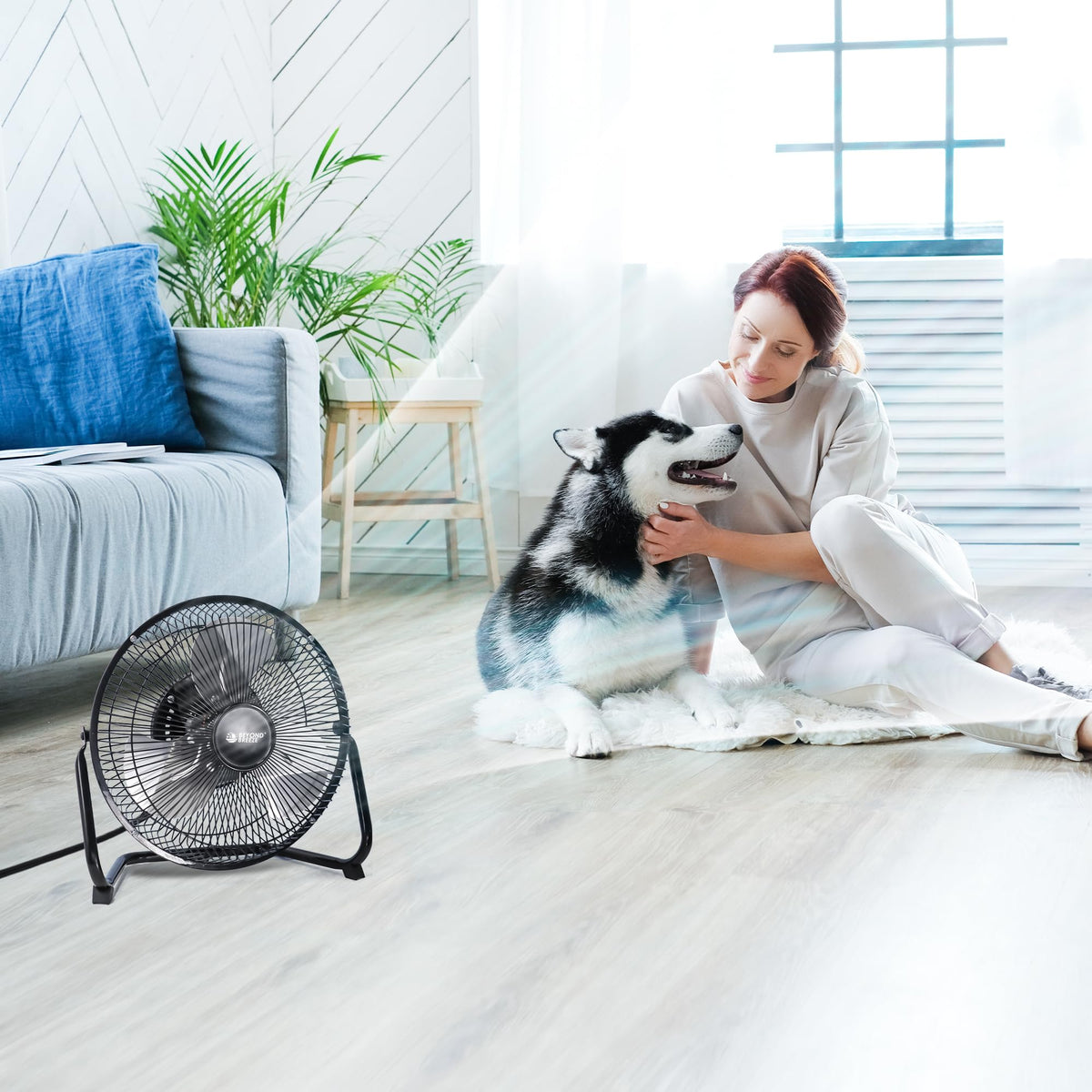 9 Inch Black Metal Floor Fan S2039