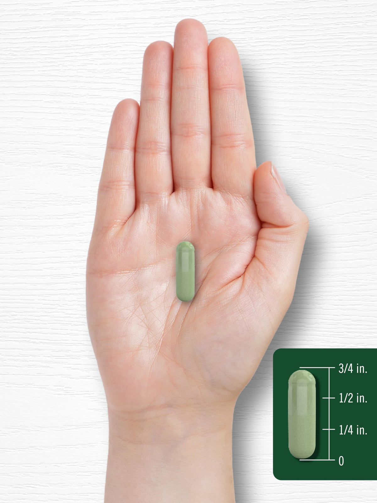 Moringa Oleifera Supplement 180 Capsules V562