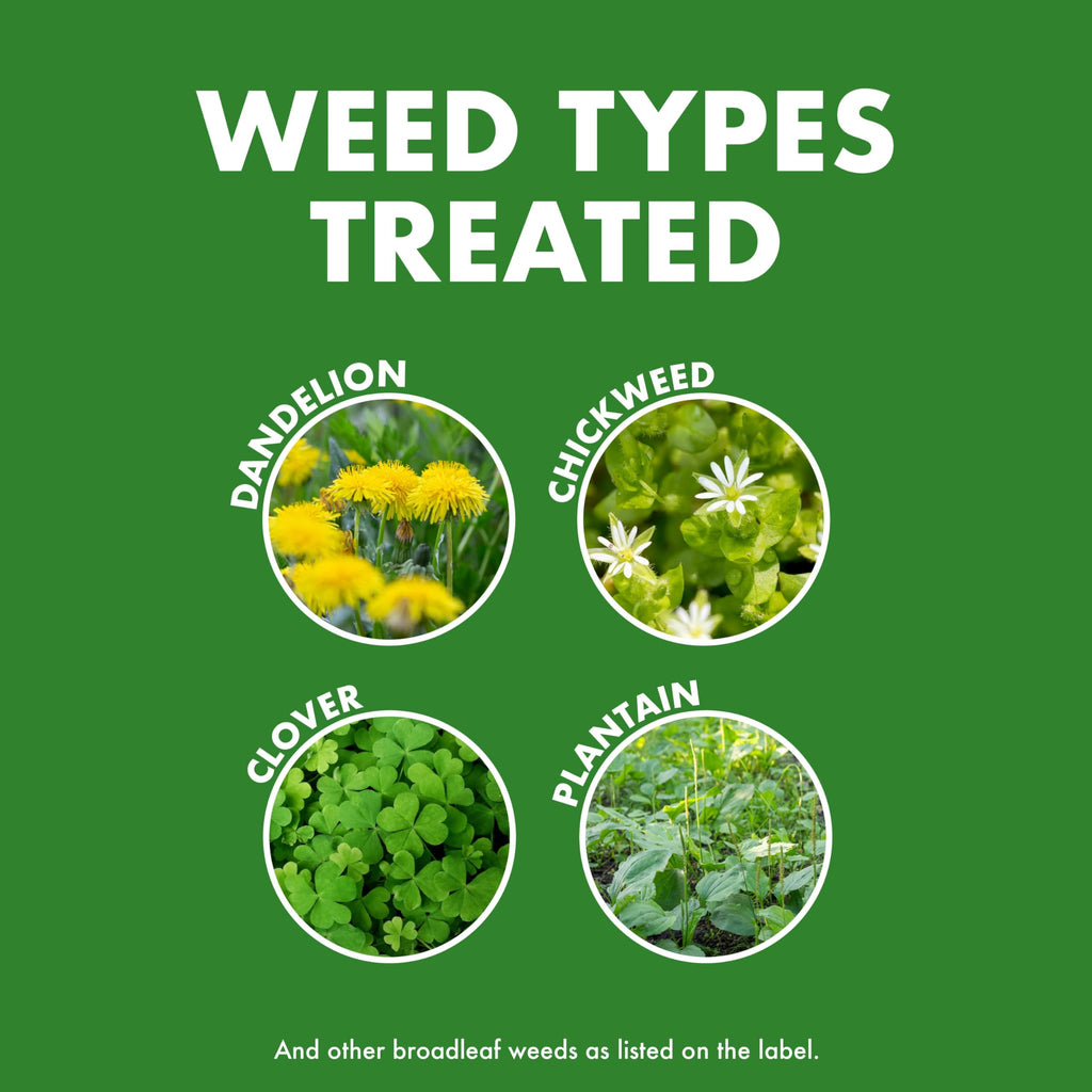Weed & Feed 32 Oz 3 Pack A419002